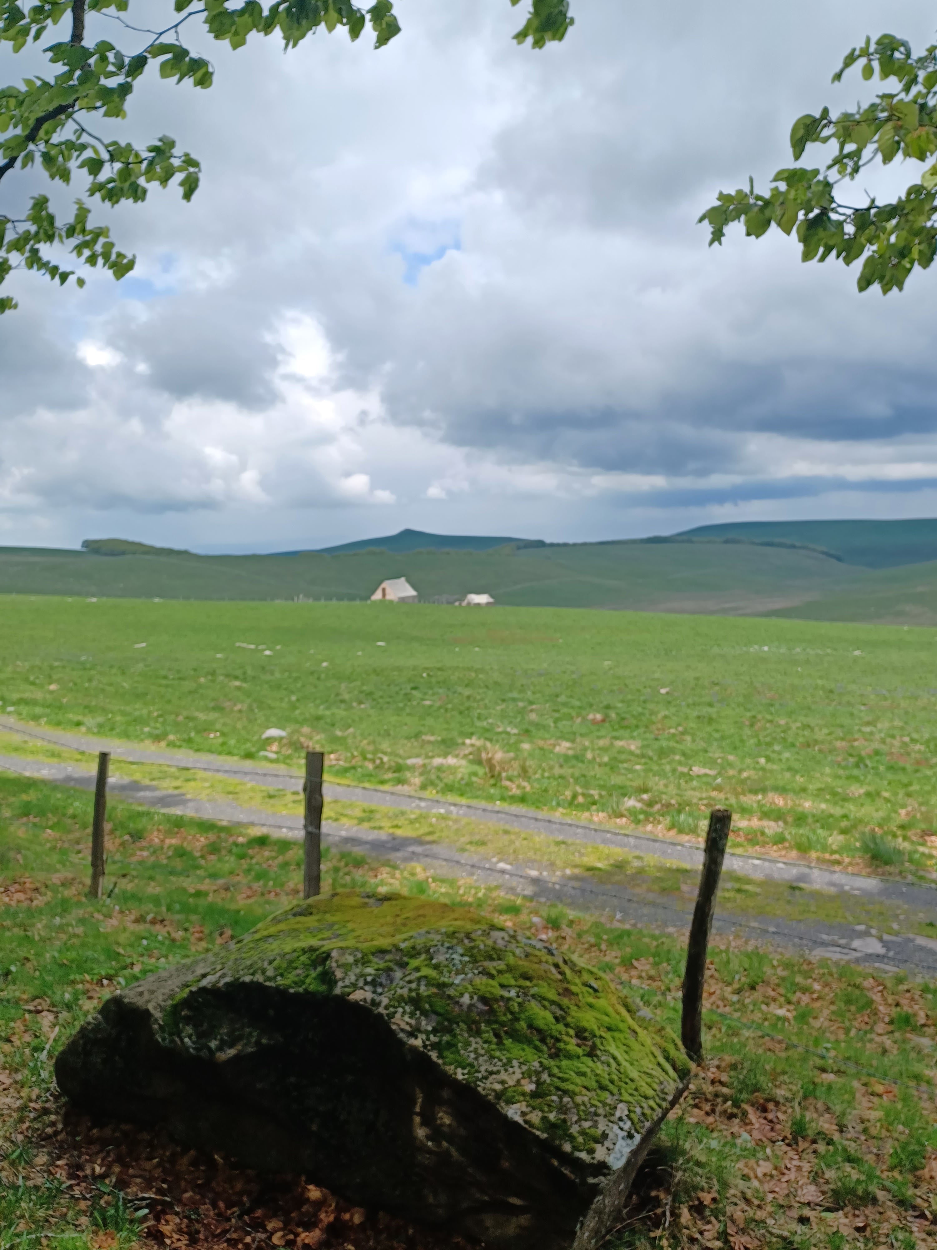 Photo n° 4 de l'avis de Thomas.o fait le 15/05/2023 à 05:08