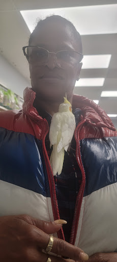 Bird Shop «In A Pickle Parrot Shop», reviews and photos, 7924 Broadview Rd, Broadview Heights, OH 44147, USA