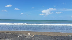 Photo de Playa Chacocente situé dans une zone naturelle