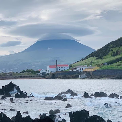 Avaliações doTáxi Horta- Ilha do Faial em Horta - Táxi