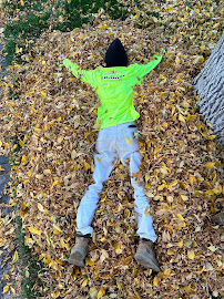 Larimer Landscaping - Photo 7 - Car repair in , Fort Collins