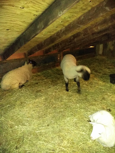 Funeral Home «Paul R Young Funeral Home», reviews and photos, 7345 Hamilton Ave, Cincinnati, OH 45231, USA