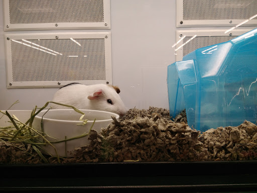 Pet Supply Store «Petco Animal Supplies», reviews and photos, 1930 SW Wanamaker Rd, Topeka, KS 66604, USA