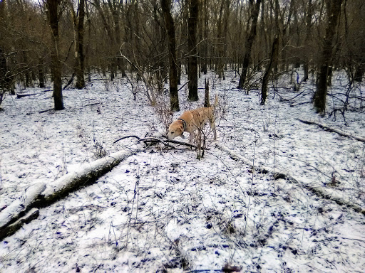 Nature Preserve «Caesar Creek Gorge State Nature Preserve», reviews and photos, 4080 Corwin Rd, Oregonia, OH 45054, USA