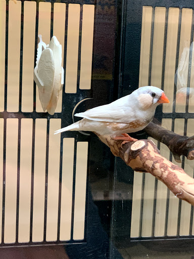 Pet Supply Store «PetSmart», reviews and photos, 1013 W University Ave, Georgetown, TX 78628, USA