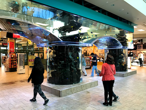 Sporting Goods Store «SCHEELS», reviews and photos, 1200 Scheels Drive, Sparks, NV 89434, USA