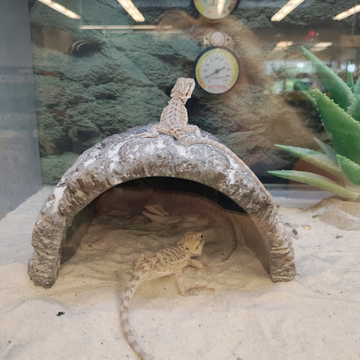 Pet Supply Store «Petco Animal Supplies», reviews and photos, 7400 Rivers Ave z, North Charleston, SC 29406, USA