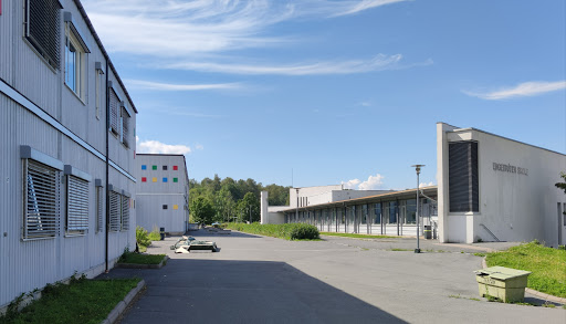 Naturopatiske skoler Oslo