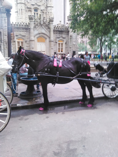 Department Store «Barneys New York, Chicago», reviews and photos, 15 E Oak St, Chicago, IL 60611, USA