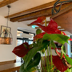 Photo n°13 de l'avis de Toskania.o fait le 09/01/2023 à 21:11 sur le  Ristorant Al Silenzio à Rovereto