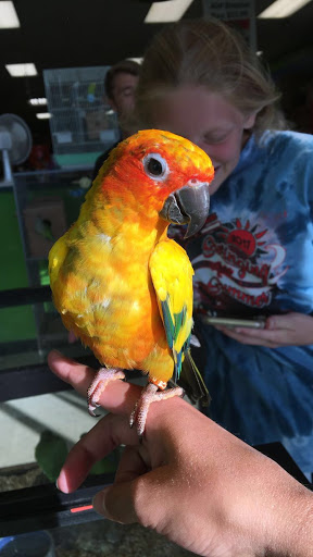 Pet Store «Something Fishy Pets», reviews and photos, 29 Towne Centre Ln, Fox Lake, IL 60020, USA