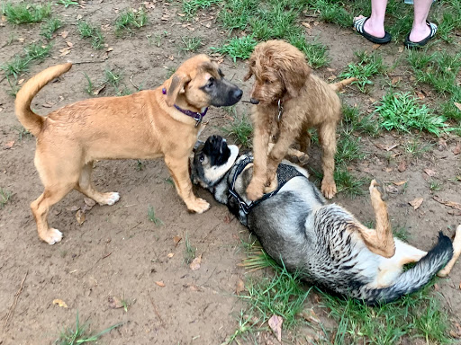 Park «Medal of Honor Park», reviews and photos, 1711 Hillcrest Rd, Mobile, AL 36609, USA