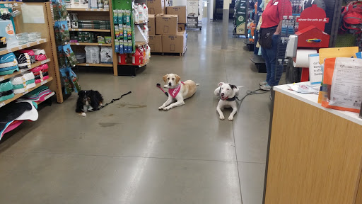 Pet Supply Store «Petco Animal Supplies», reviews and photos, 8966 S Broadway Ave #112, Tyler, TX 75703, USA