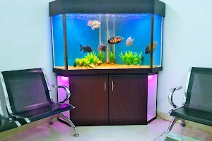 Marya Aquarium image