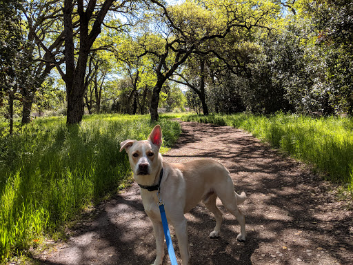 Guadalupe Oak Grove Park