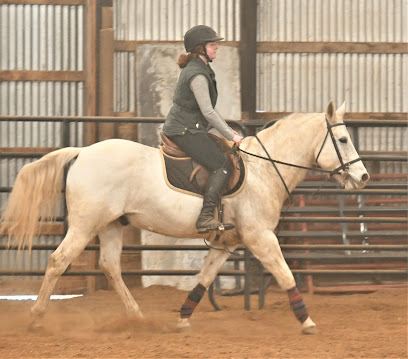 Total Equine Learning Center - Hafhec