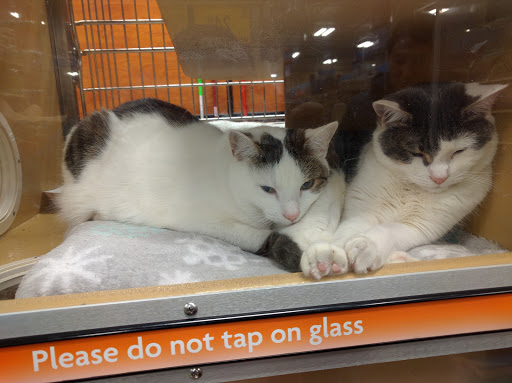 Pet Supply Store «PetSmart», reviews and photos, 300 NJ-18, East Brunswick, NJ 08816, USA