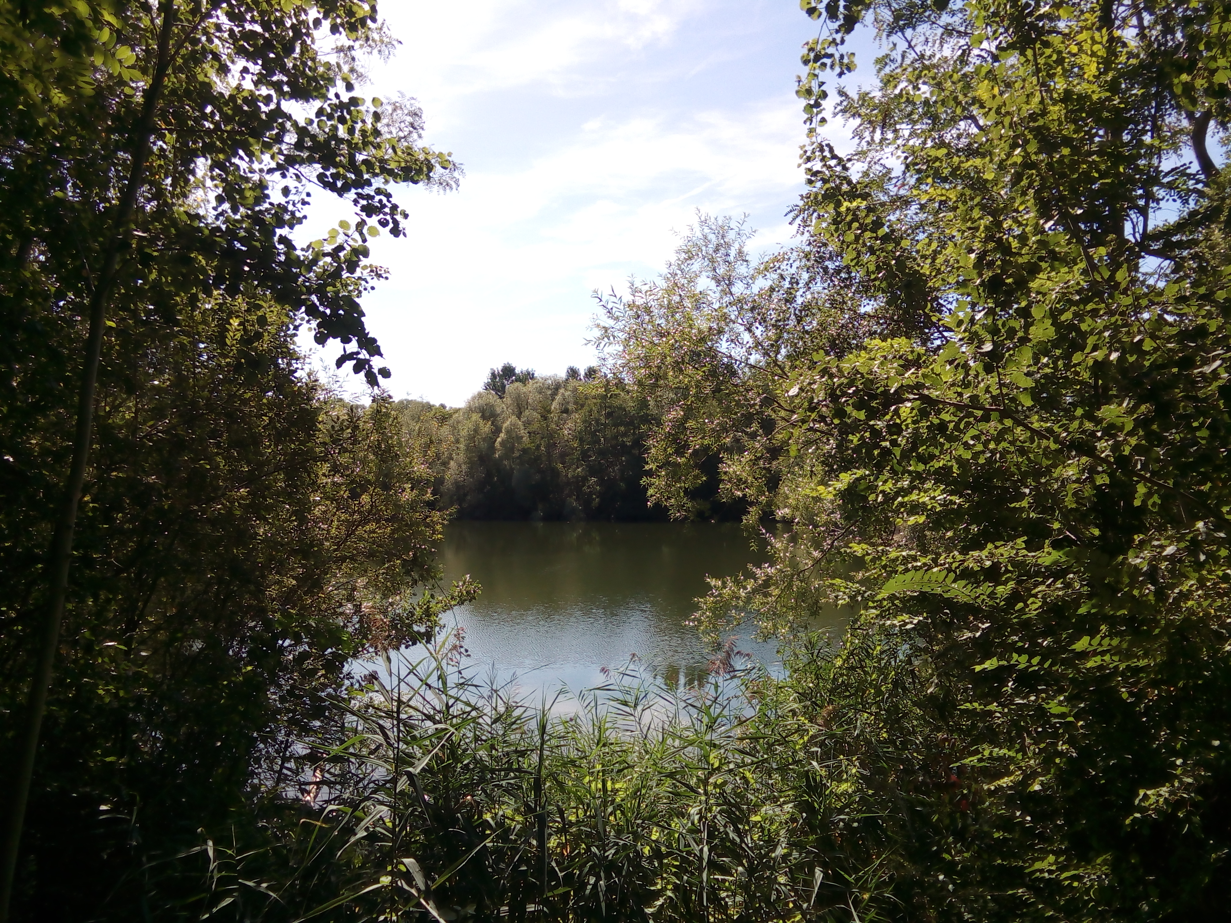 Photo n° 14 de l'avis de Angy.u fait le 30/08/2019 à 15:26