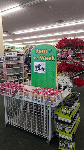 Dollar Store «Dollar Tree», reviews and photos, 124 E Geneva Square, Lake Geneva, WI 53147, USA