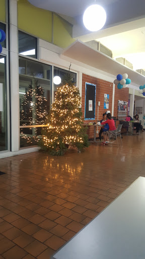 Gym «San Pedro & Peninsula YMCA», reviews and photos, 301 S Bandini St, San Pedro, CA 90731, USA