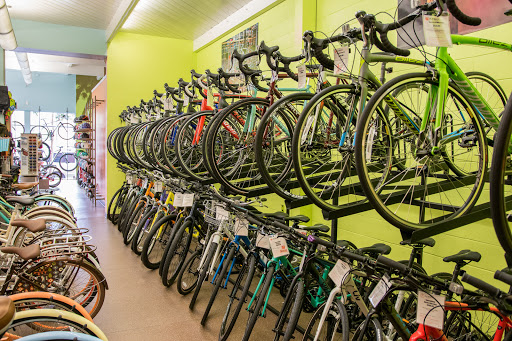 Bicycle Store «Alameda Bicycle», reviews and photos, 1522 Park St, Alameda, CA 94501, USA