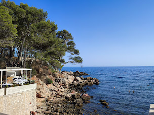 Photo n°4 de Le Méditerranée à Bandol ()