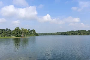 Lower Peirce Reservoir image