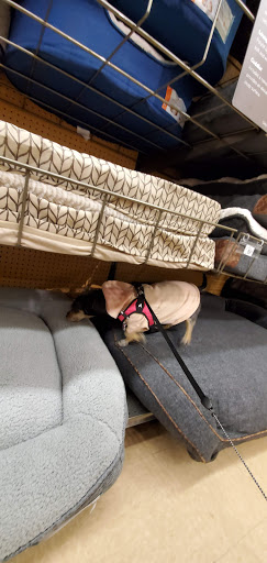 Pet Supply Store «Petco Animal Supplies», reviews and photos, 2095 N Harris Blvd, Layton, UT 84041, USA