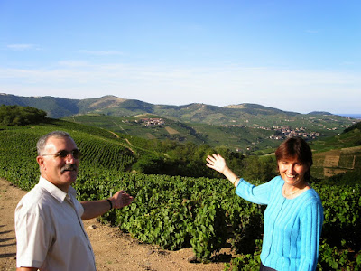 Domaine de La Merlette - Viticulteur Beaujolais, Marie-Claire & René TACHON à Vaux-en-Beaujolais
