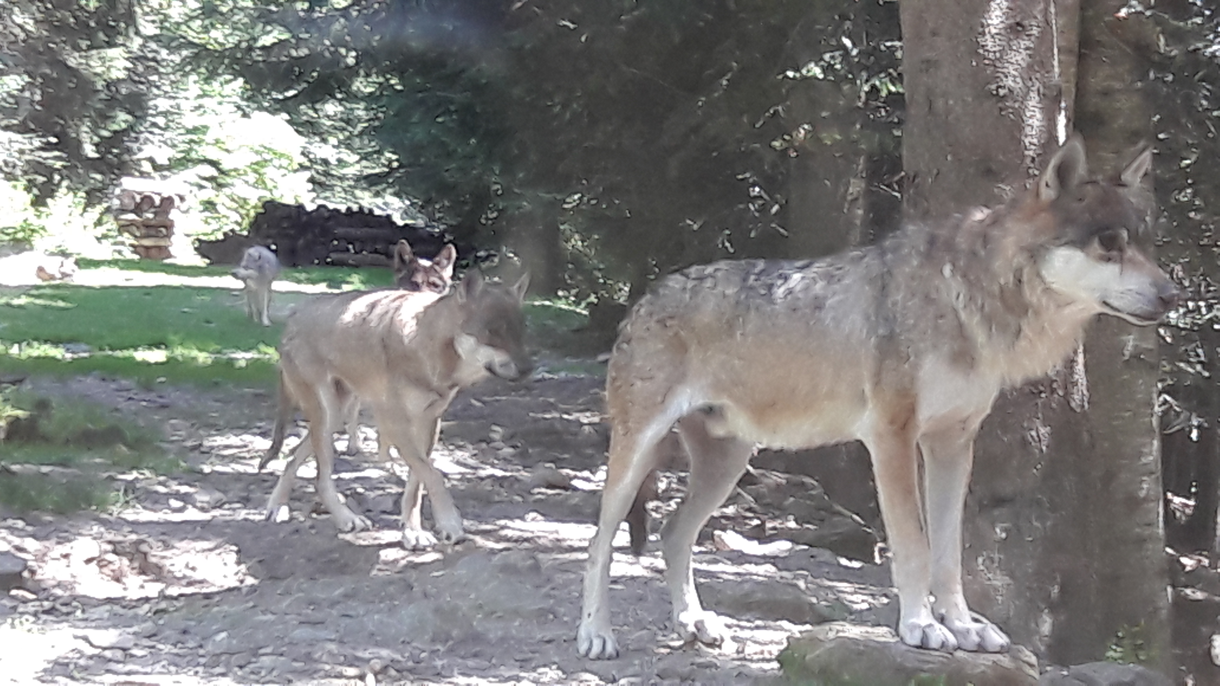 Photo n° 10 de l'avis de Ambre.h fait le 05/03/2017 à 01:43