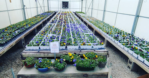 Florist «Burkhart Greenhouse & Garden», reviews and photos, 1530 E Central Ave, Miamisburg, OH 45342, USA