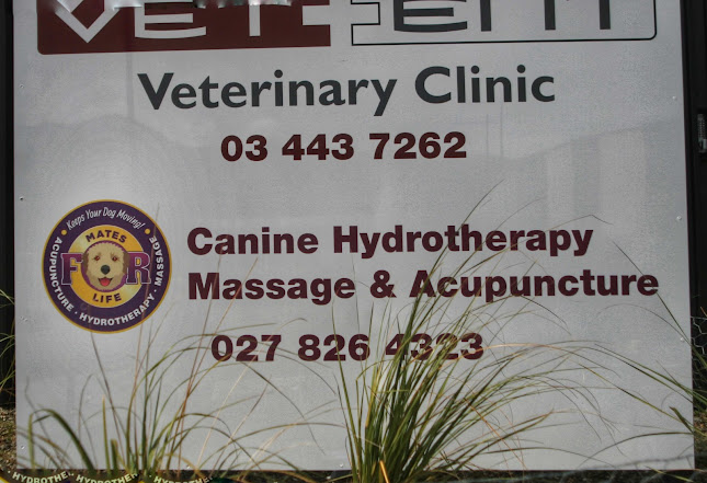Mates4Life, Canine Hydrotherapy, Massage And Acupuncture - Doctor