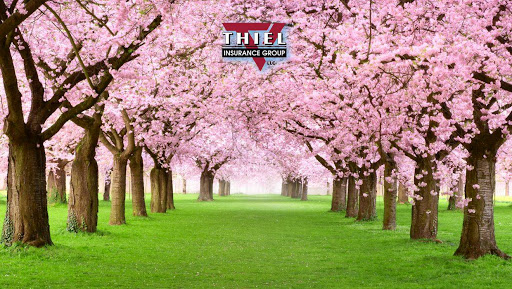 Insurance Agency «Thiel Insurance Group, LLC», reviews and photos