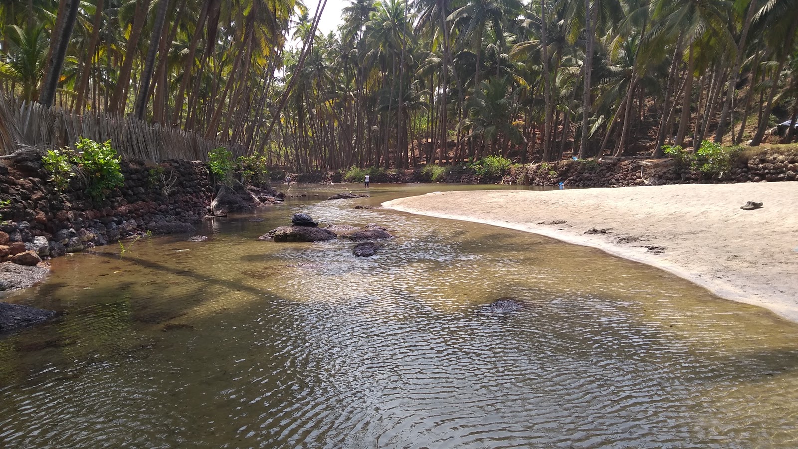 Cabo de Rama Beach photo #9