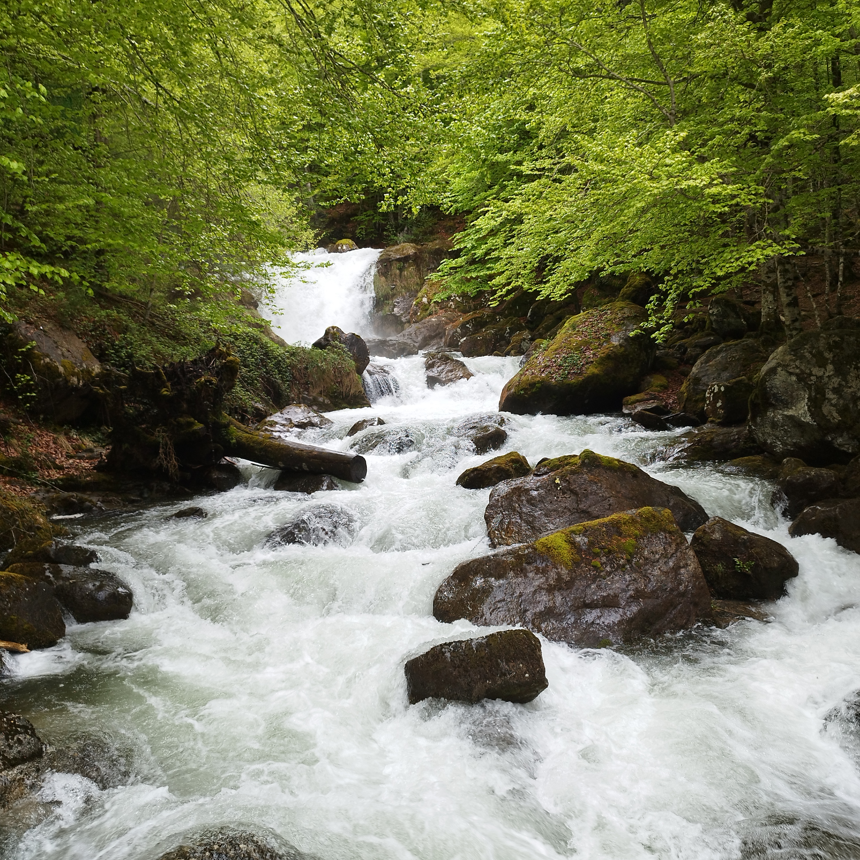 Photo n° 4 de l'avis de Damien.o fait le 16/05/2023 à 16:43
