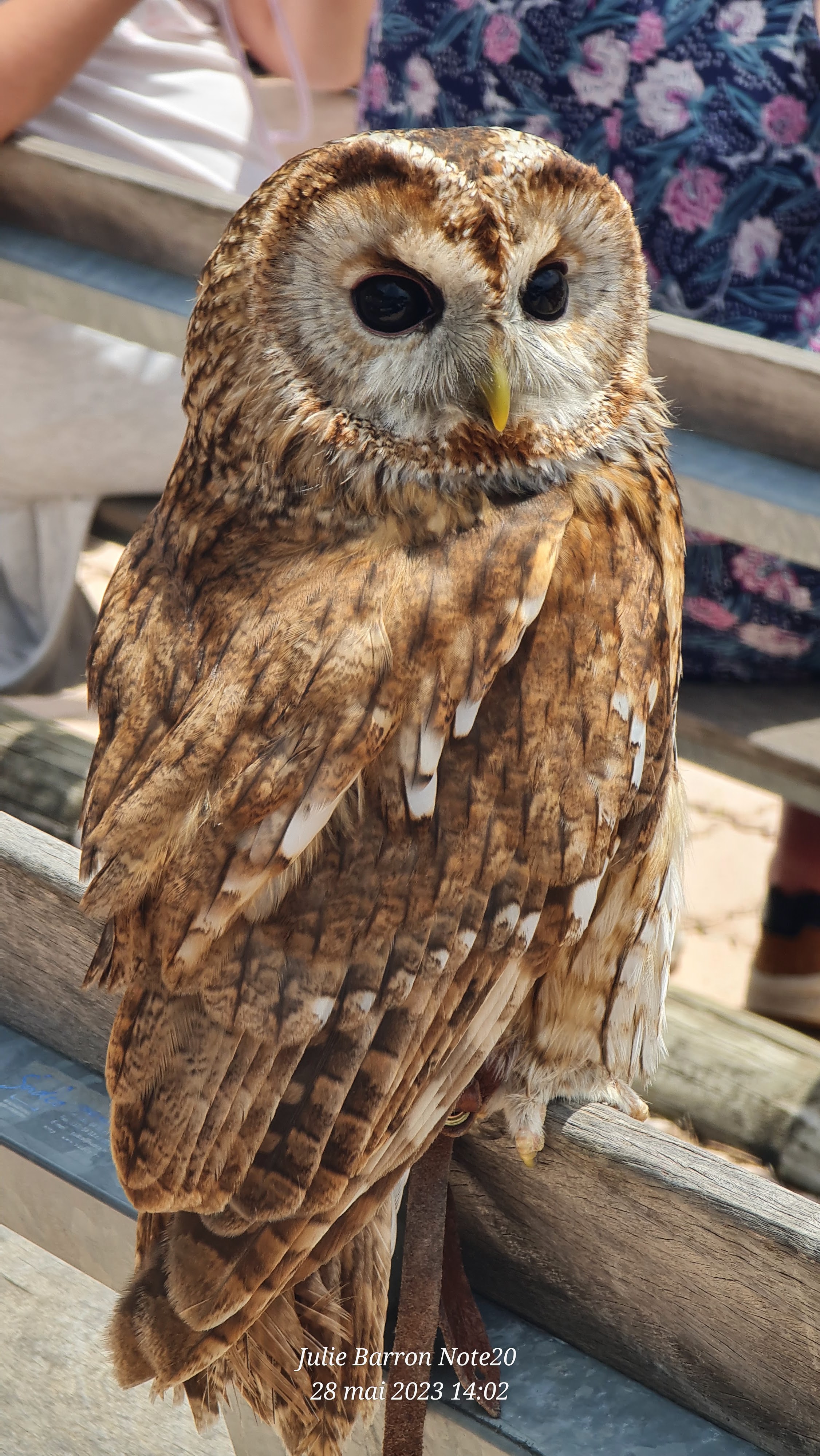 Photo n° 18 de l'avis de Julie.a fait le 03/08/2019 à 12:47