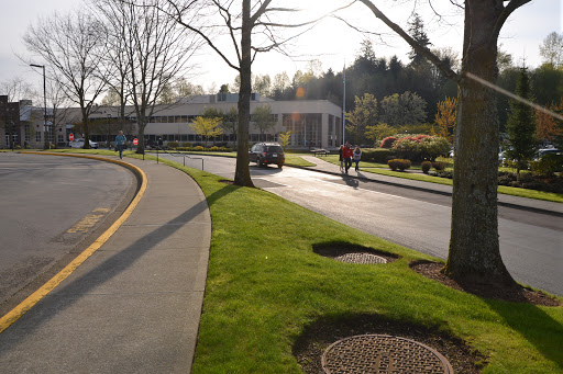 Health Insurance Agency «Premera Blue Cross», reviews and photos