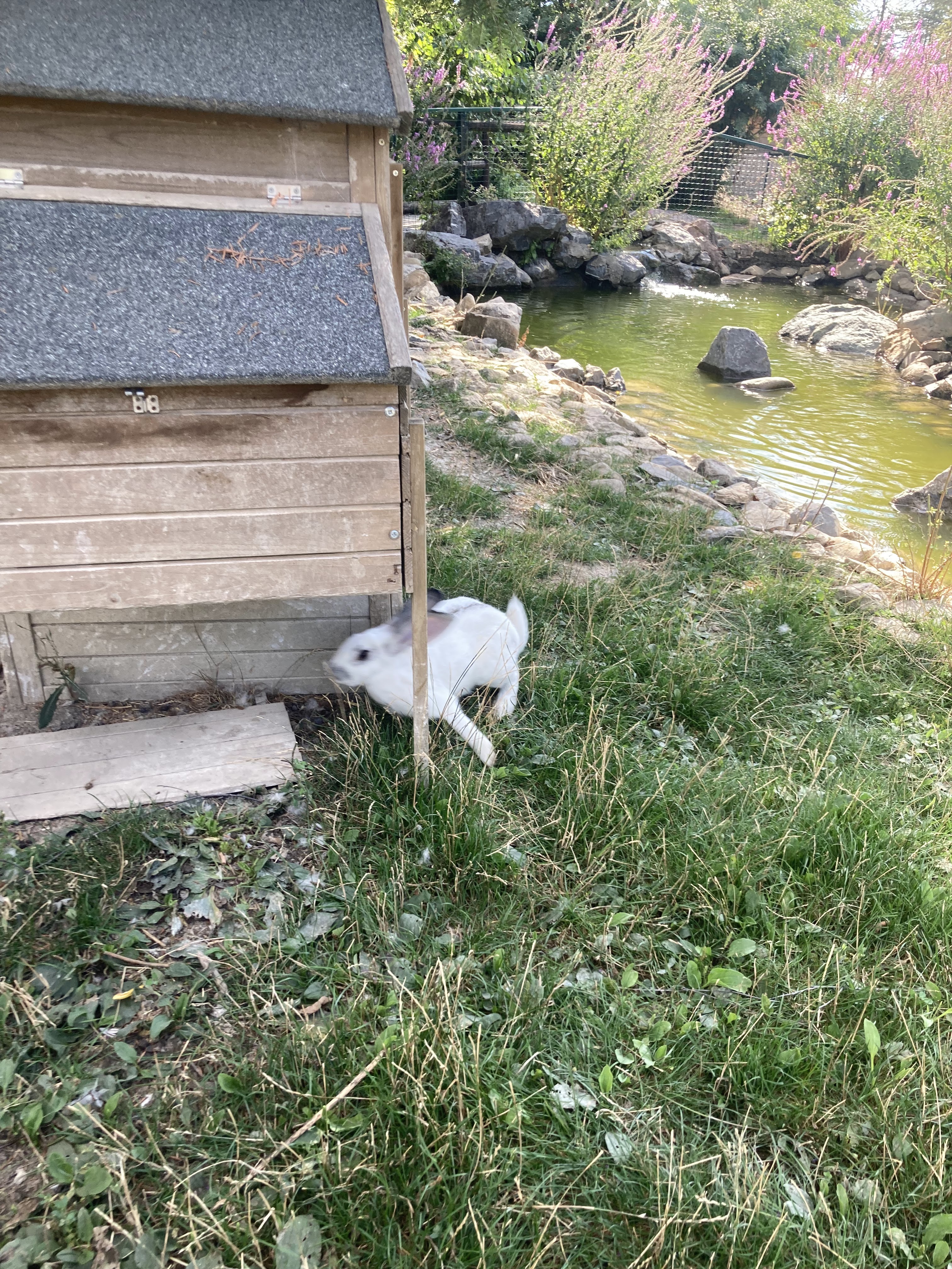 Photo n° 15 de l'avis de Laurianne.o fait le 26/08/2022 à 16:16