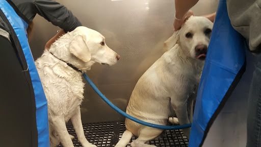 Pet Supply Store «Pet Supplies Plus», reviews and photos, 101 Sutton Ave, Oxford, MA 01540, USA