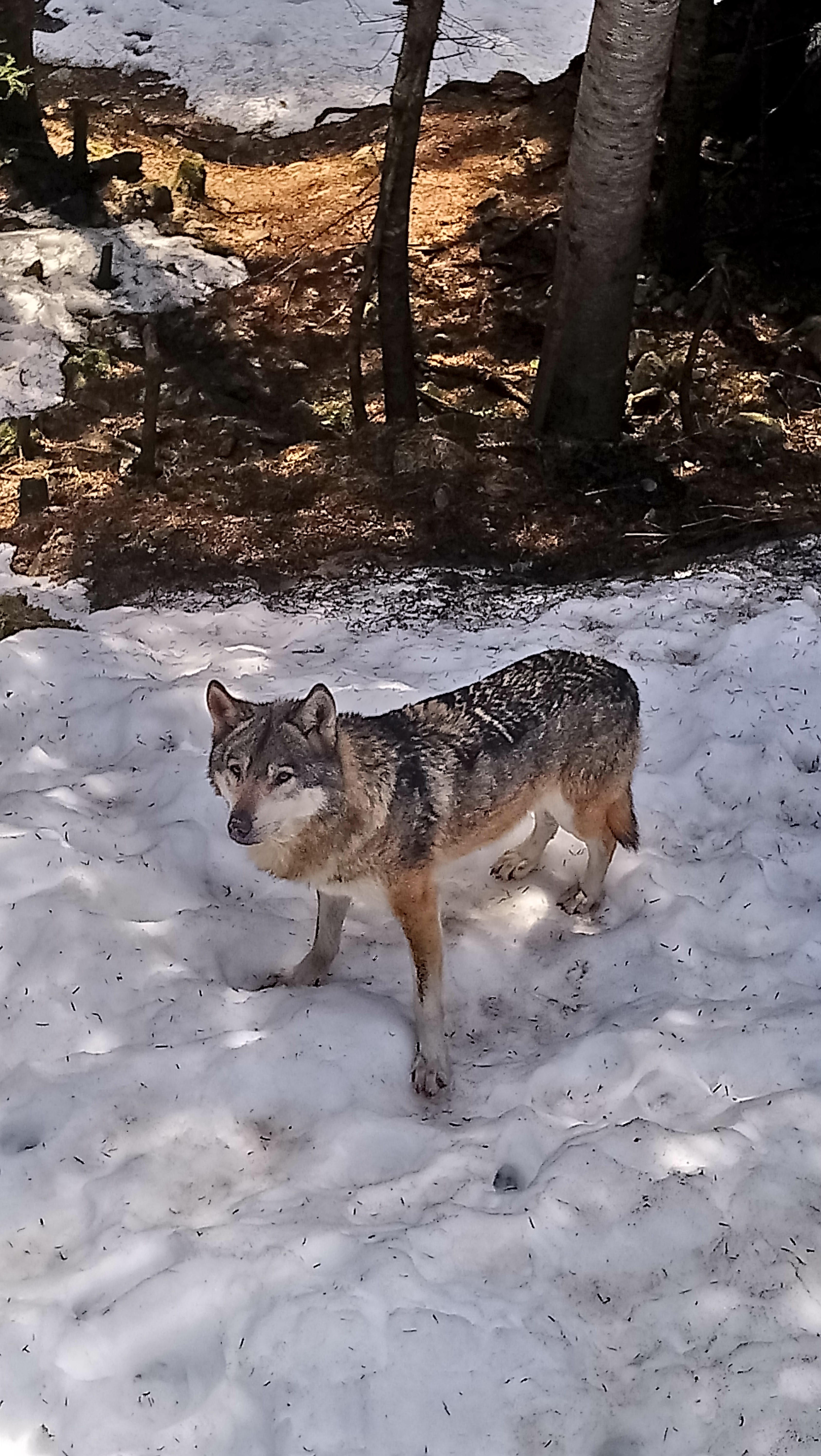 Photo n° 1 de l'avis de Helene.u fait le 18/04/2019 à 15:08