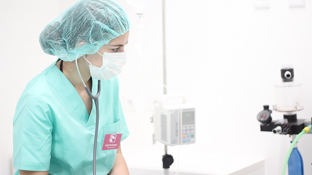 Avaliações doAmipet - Veterinário, Hotel & ATL, Formação e Treino em Viseu - Veterinário