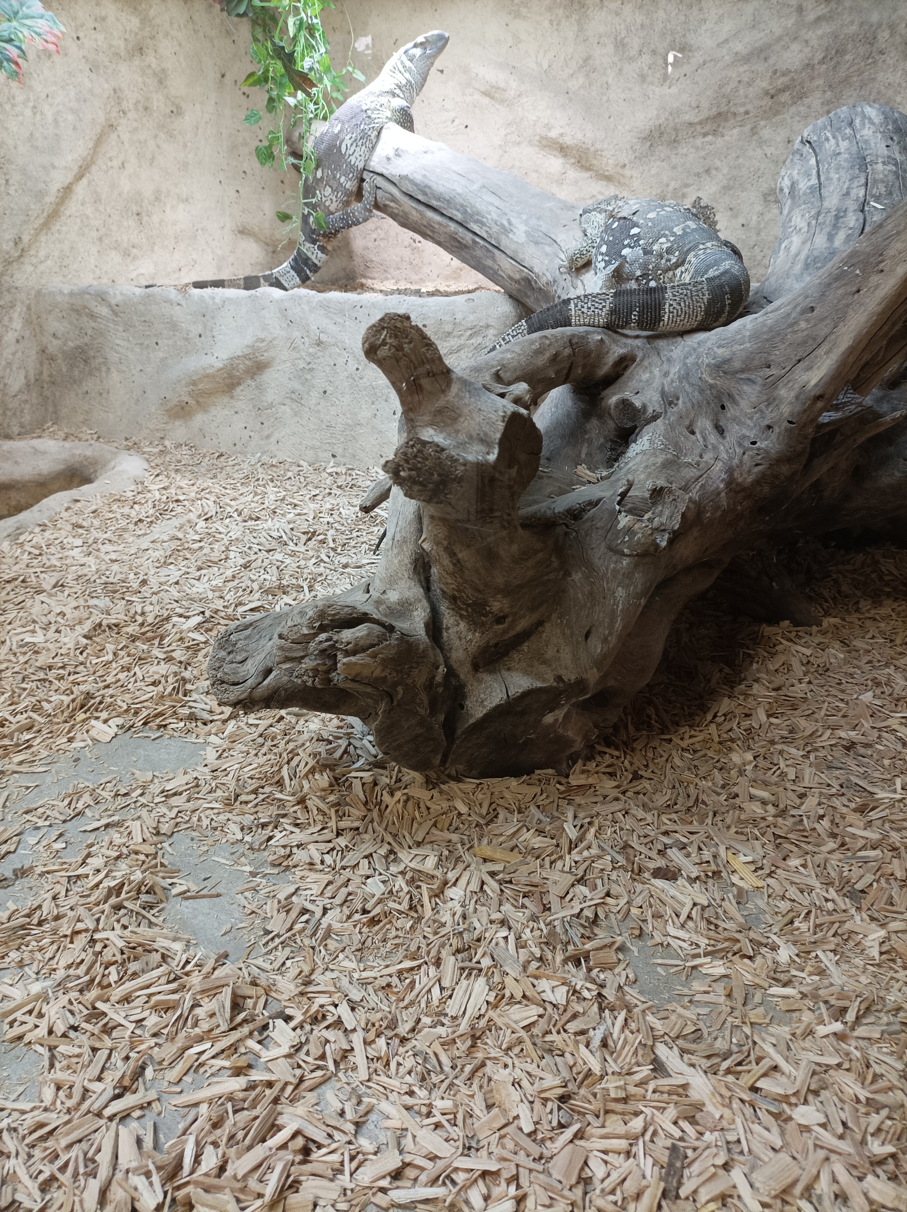 Photo n° 2 de l'avis de Lino. fait le 21/10/2023 à 19:27