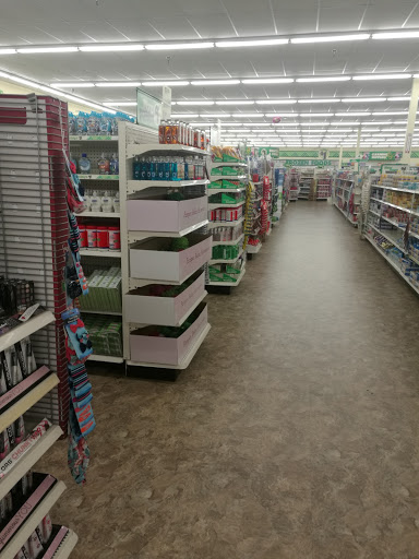 Dollar Store «Dollar Tree», reviews and photos, 6205 Coit Rd #200, Plano, TX 75024, USA