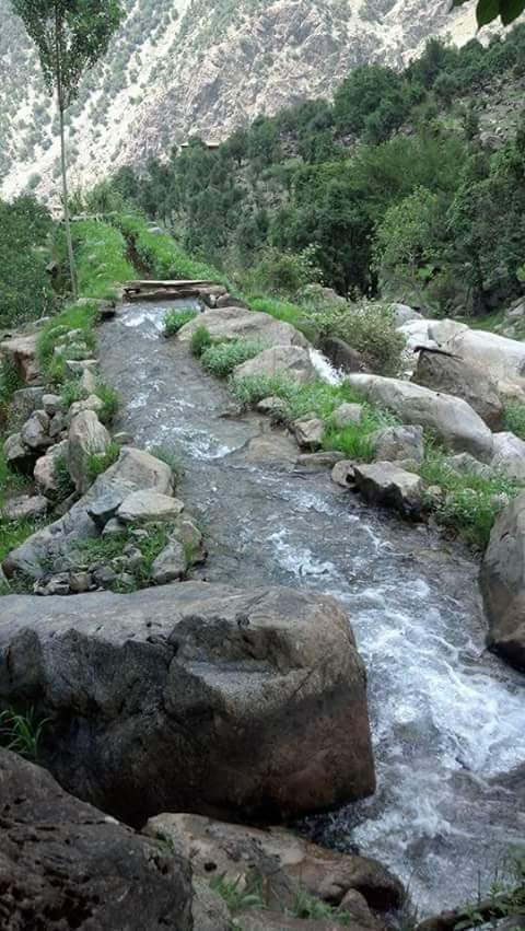 Naseeb General Store & Cool Corner