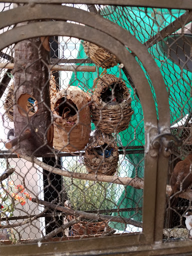 Gift Shop «The Wrinkled Egg», reviews and photos, 2710 NC-225, Flat Rock, NC 28731, USA