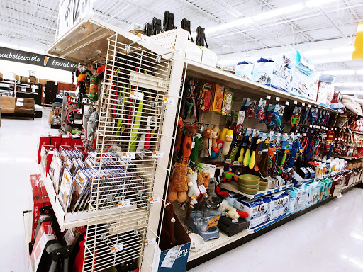 Discount Store «Big Lots», reviews and photos, 204 S Randall Rd, Elgin, IL 60123, USA