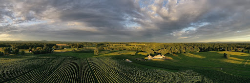 Winery «Boxwood Estate Winery», reviews and photos, 2042 Burrland Ln, Middleburg, VA 20117, USA