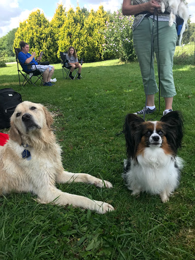 Pet Supply Store «The Natural Pet Enrichment Center», reviews and photos, 6720 Royalton Rd, North Royalton, OH 44133, USA