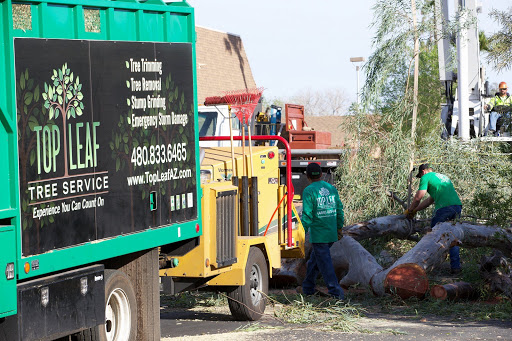 Top Leaf Tree Service