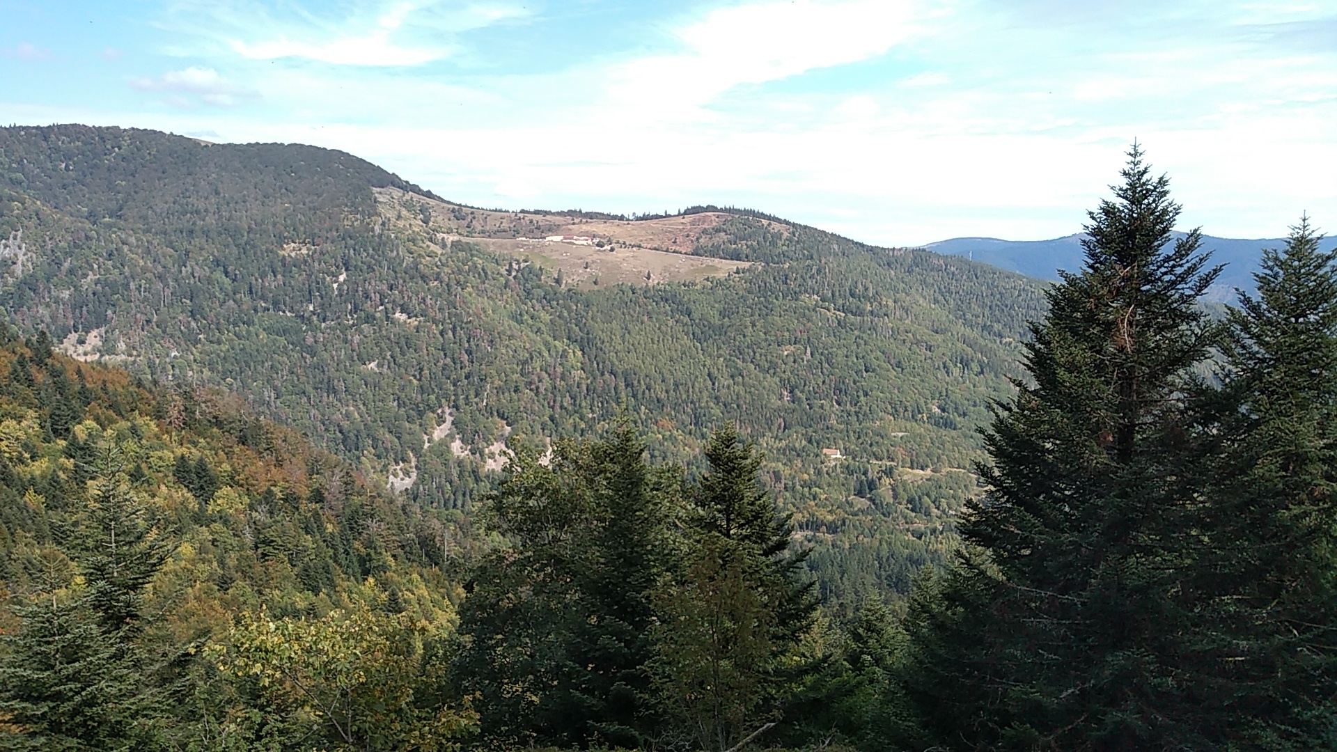 Photo n° 4 de l'avis de JL.J fait le 22/09/2019 à 11:16